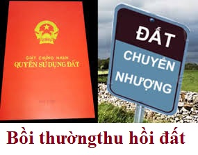 Khiếu nại thu hồi nhà đất